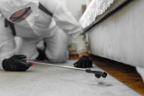 Professional Pest Control technician working in Baltimore County County, MD